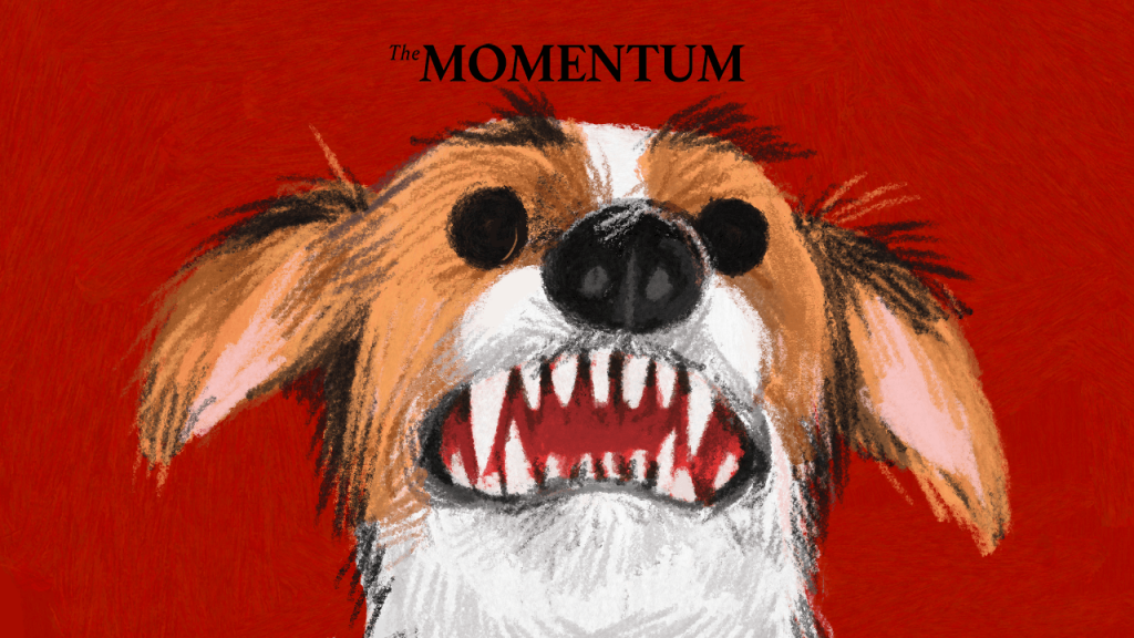 นับ 1 ถึง 10 (สิ่งที่ต้องรู้) เมื่อโดนหมาแมวกัด  THE MOMENTUM