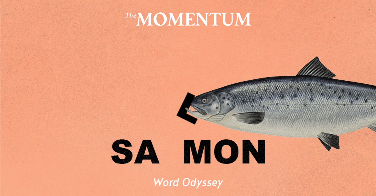 Why Is The L In Salmon Silent