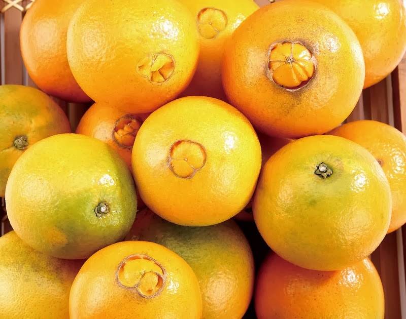 ส้ม' พืชตระกูลซีตรัสที่พัฒนาและกลายพันธุ์จนอร่อยมาถึงเราทุกวันนี้ | The  Momentum