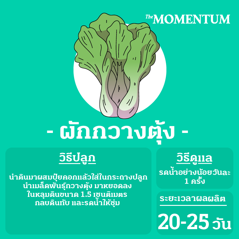My Image 24