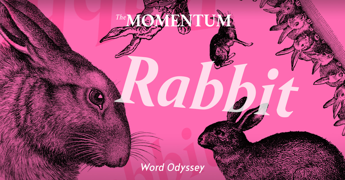 เปิดศักราชใหม่ ต้อนรับปีเถาะด้วย 5 สำนวนเกี่ยวกับกระต่ายในภาษาอังกฤษ