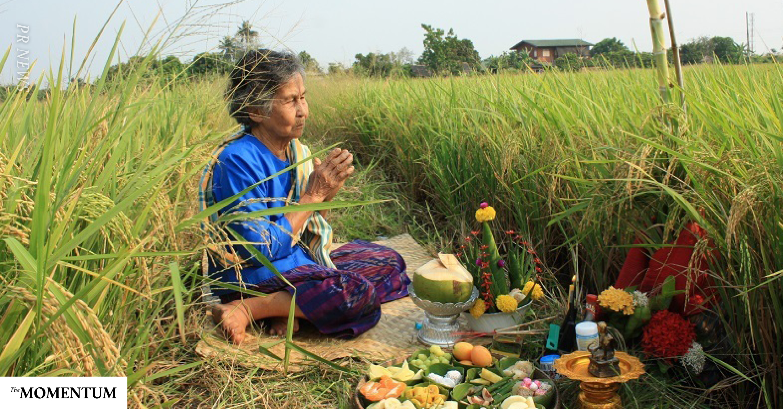 ภูมิปัญญาจากจังหวัดน่านบนวิถีพึ่งพาธรรมชาติ สู่ ‘หญ้ายา’ และอนาคตสุขภาพ